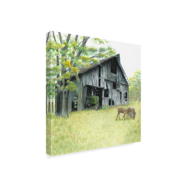 Carla Kurt 'Forgotten Barns' Canvas Art,14x14